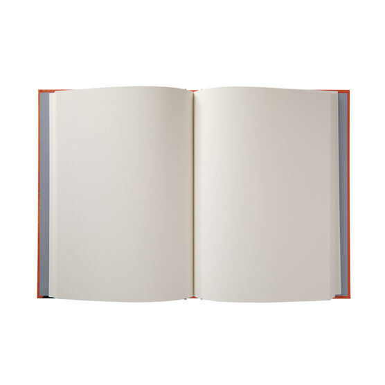 Hilma af Klint The Ten Largest orange notebook
